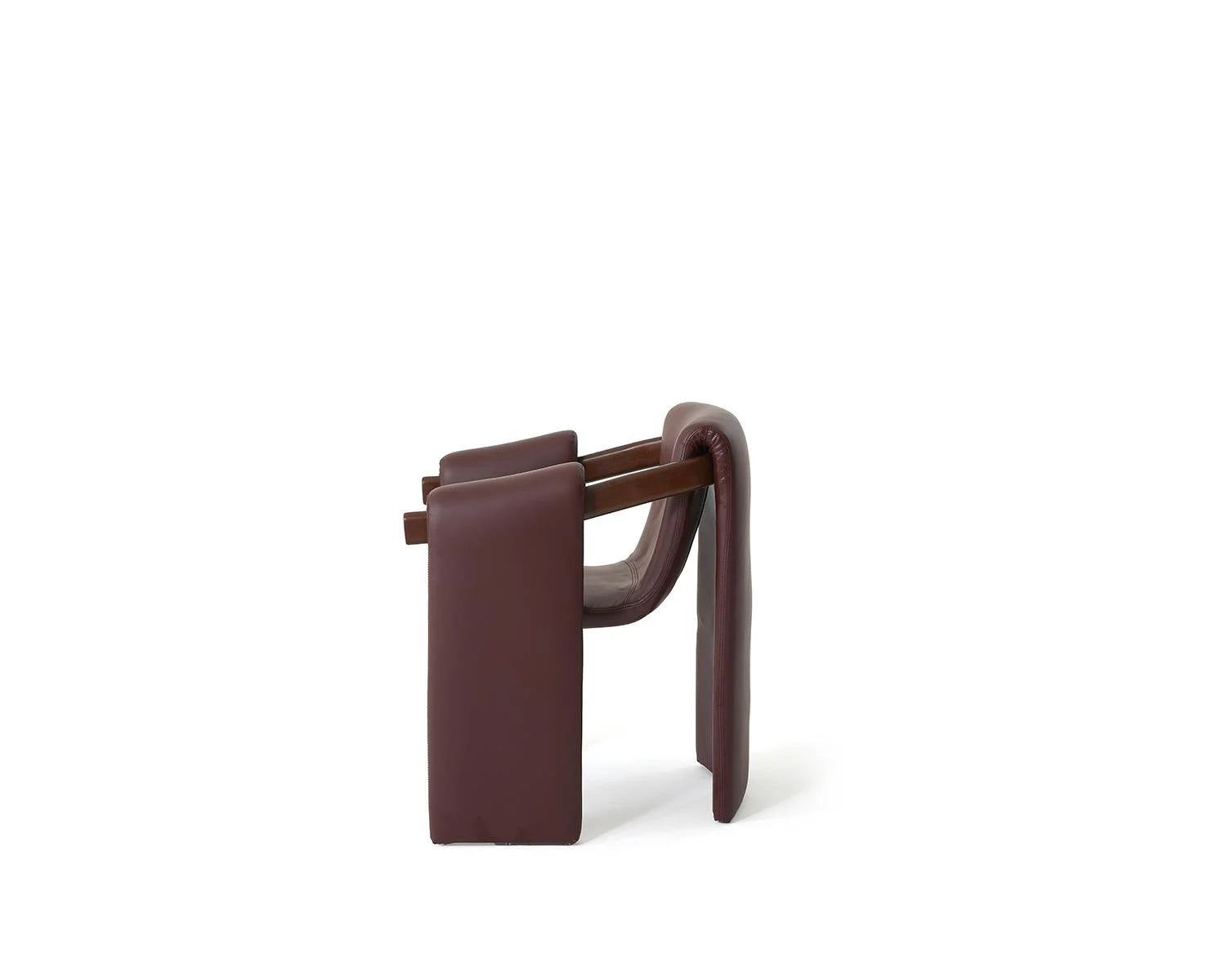 Side view of brown leather armchair with wooden frame on white background.