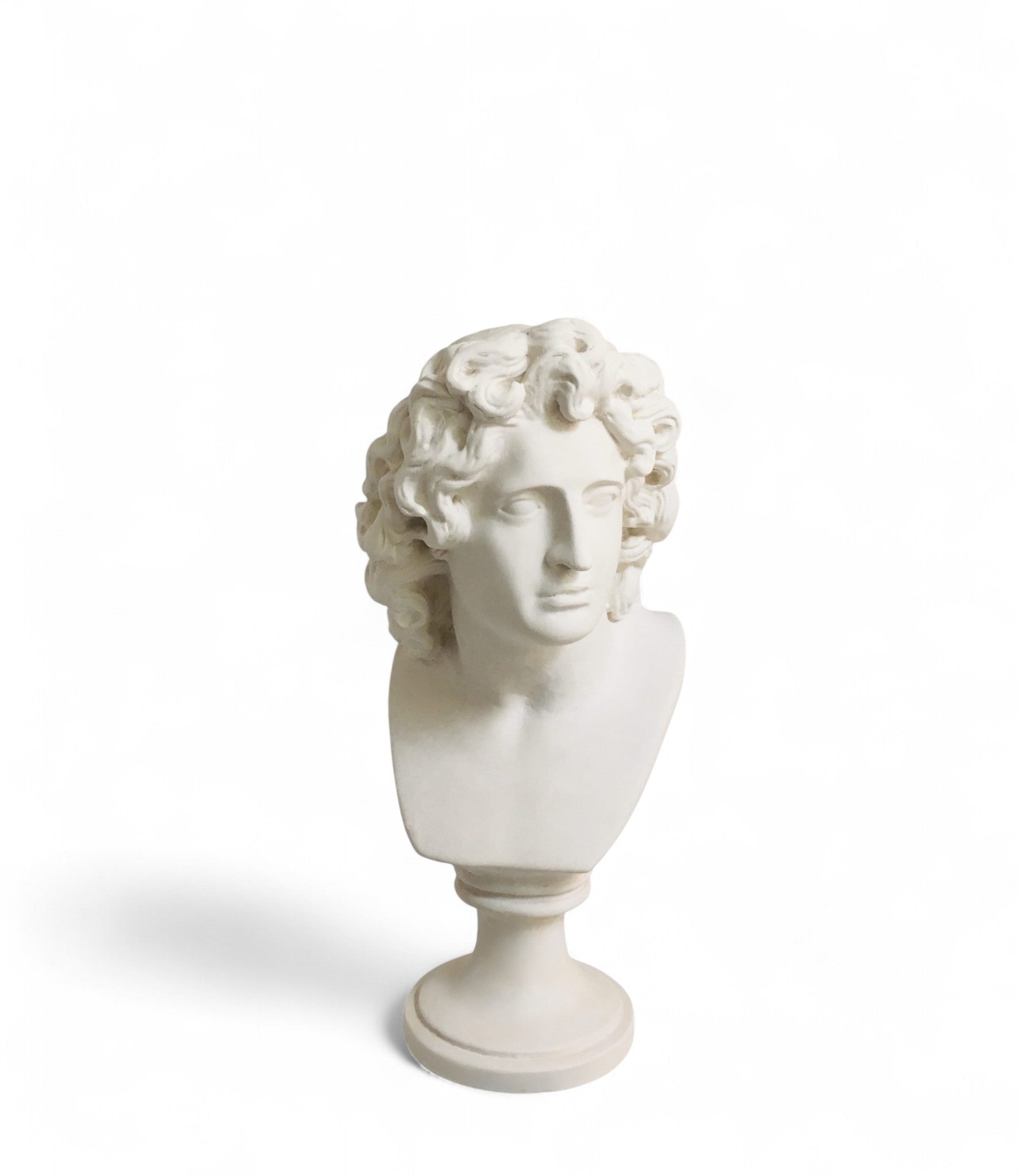 White classical male bust sculpture on pedestal decor