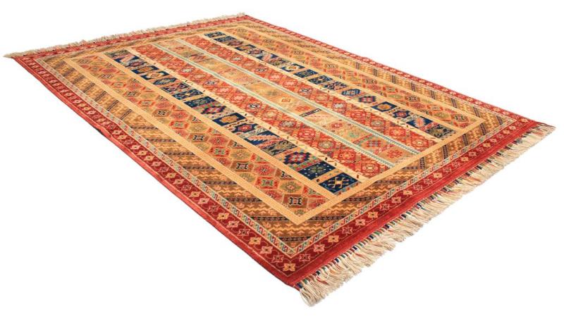 Overhead view colorful patterned area rug with fringe on white background.