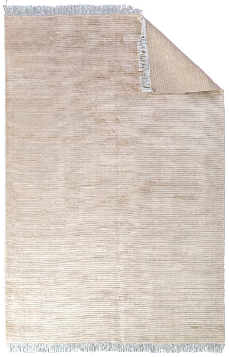 View of beige striped area rug with fringed edges