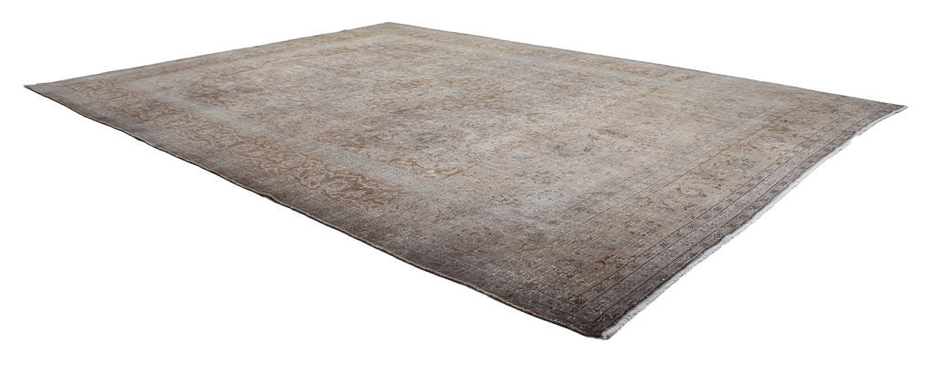 Overhead view of large brown patterned area rug on white background