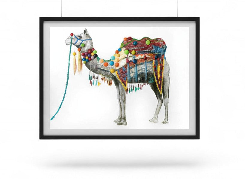 Framed art print of decorated camel on white background