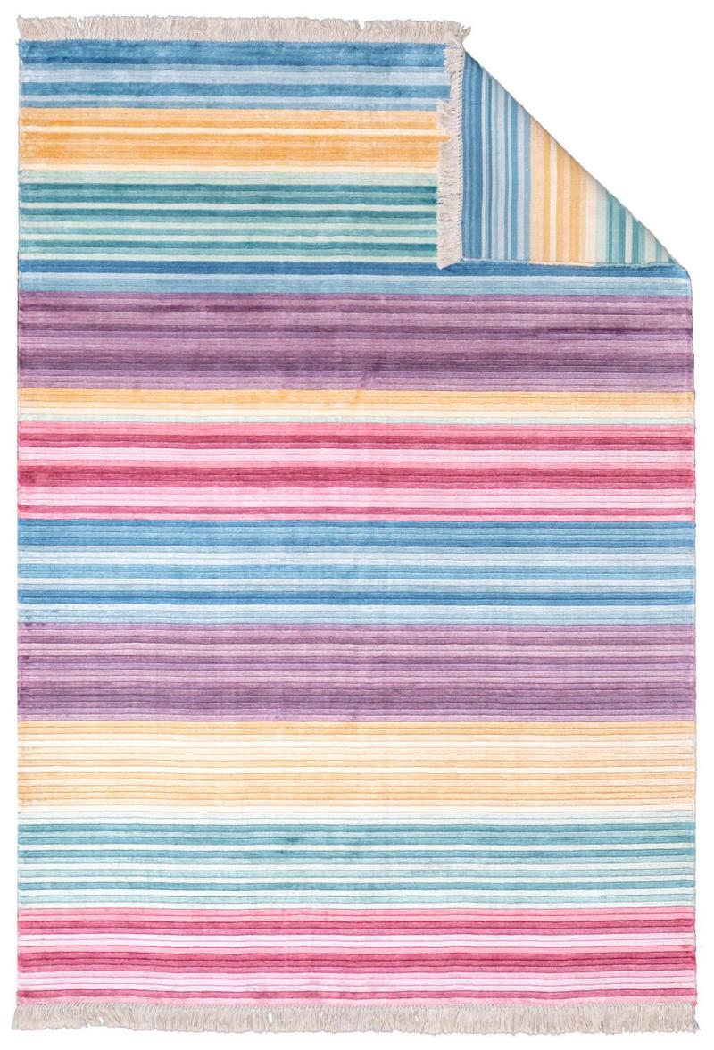 Colorful striped area rug with fringe detail on white background.