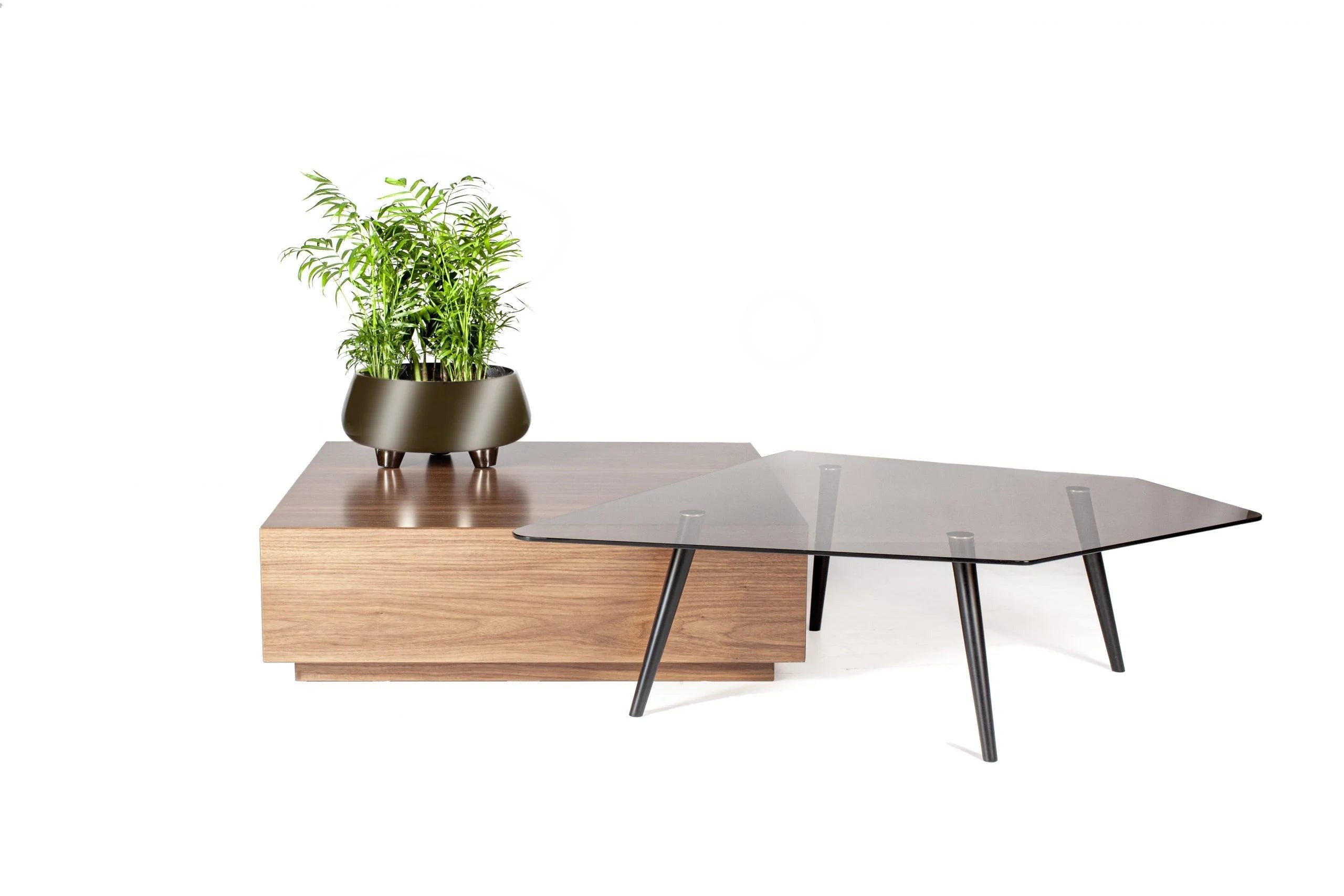 Elysian Coffee Table