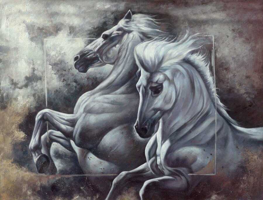 Duo Stallions