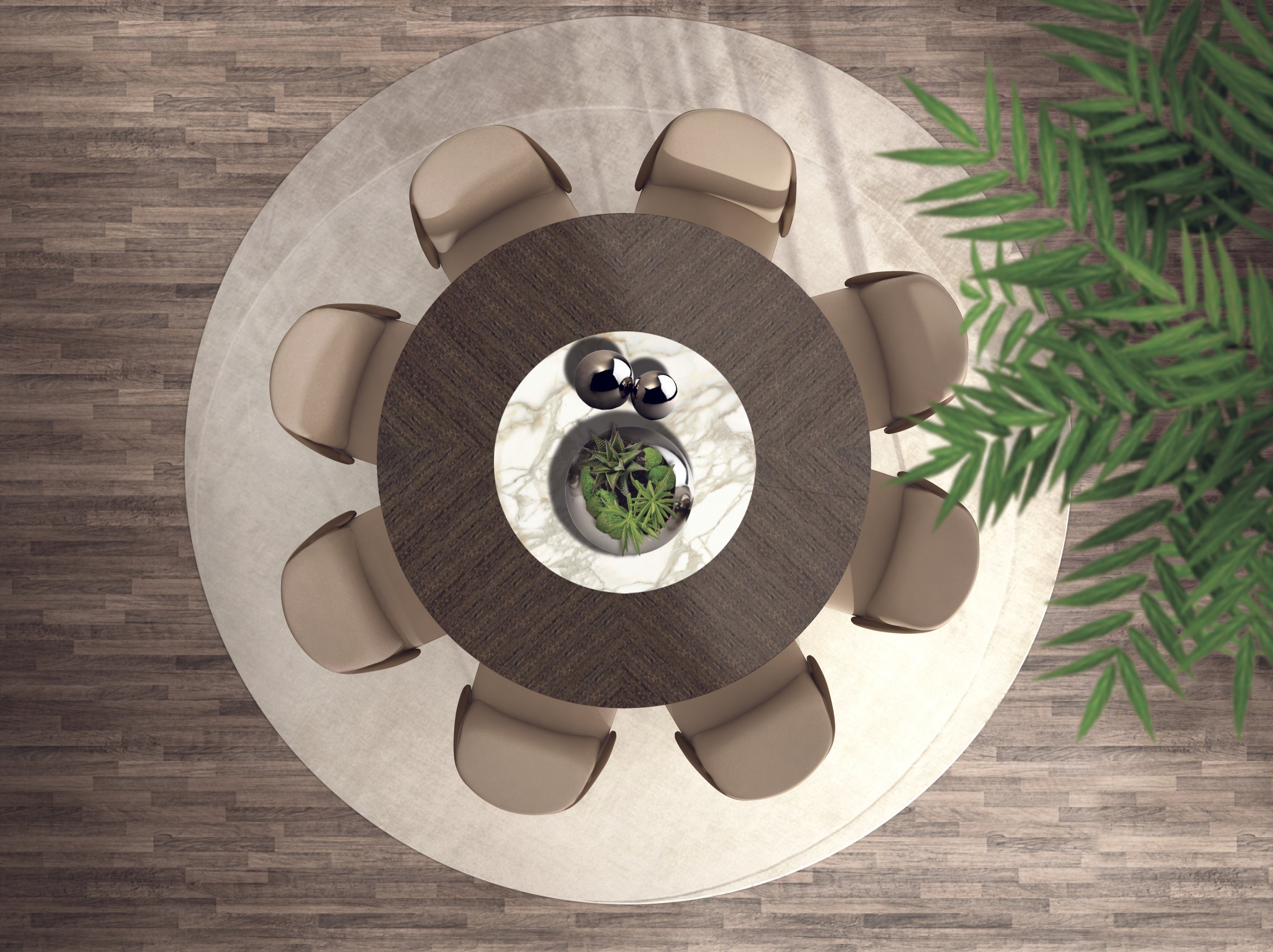 Overhead view dining table chairs rug wood floor plant
